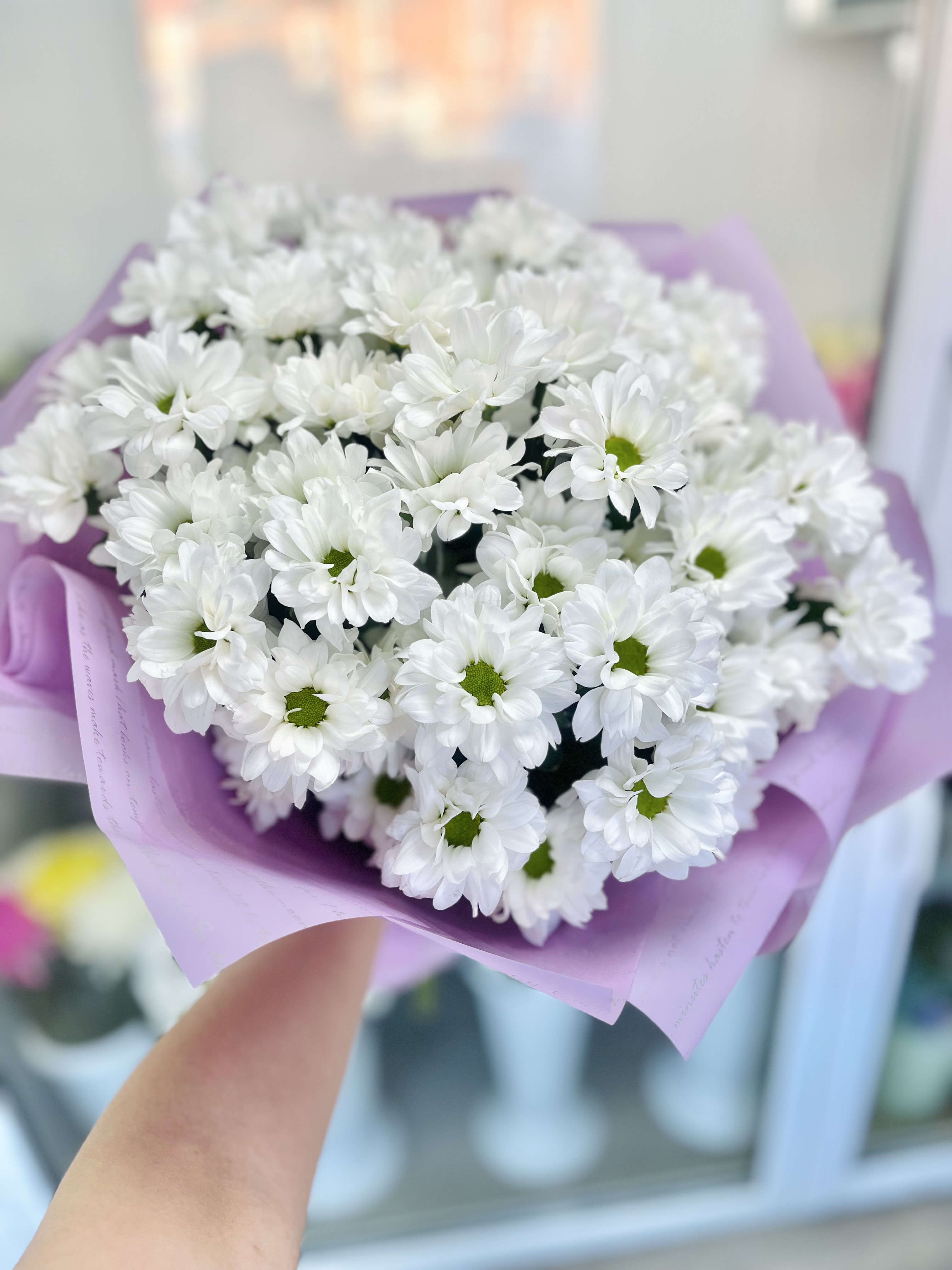 Букет из 9 кустовых хризантем 