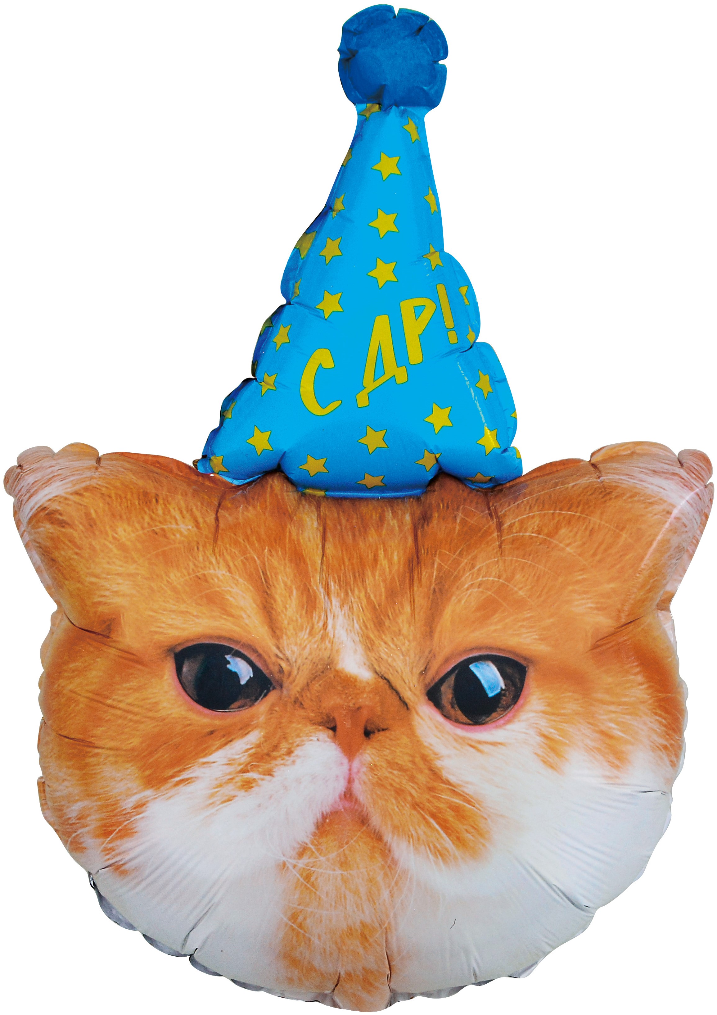 Шар Рыжий Кот с ДР