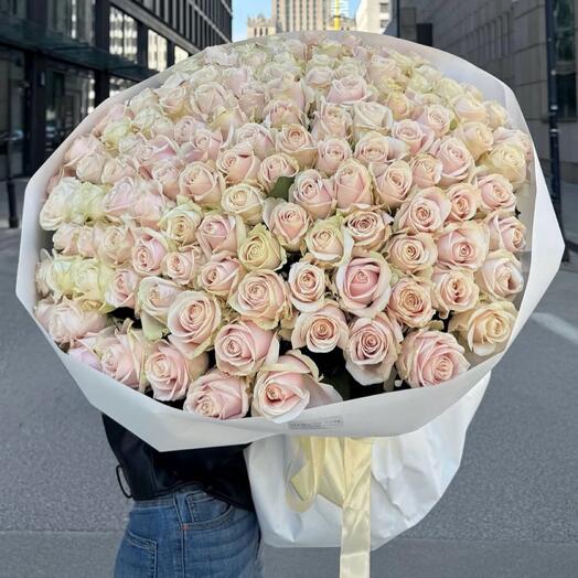 101 Роза 70 см нежно розовая Голландия