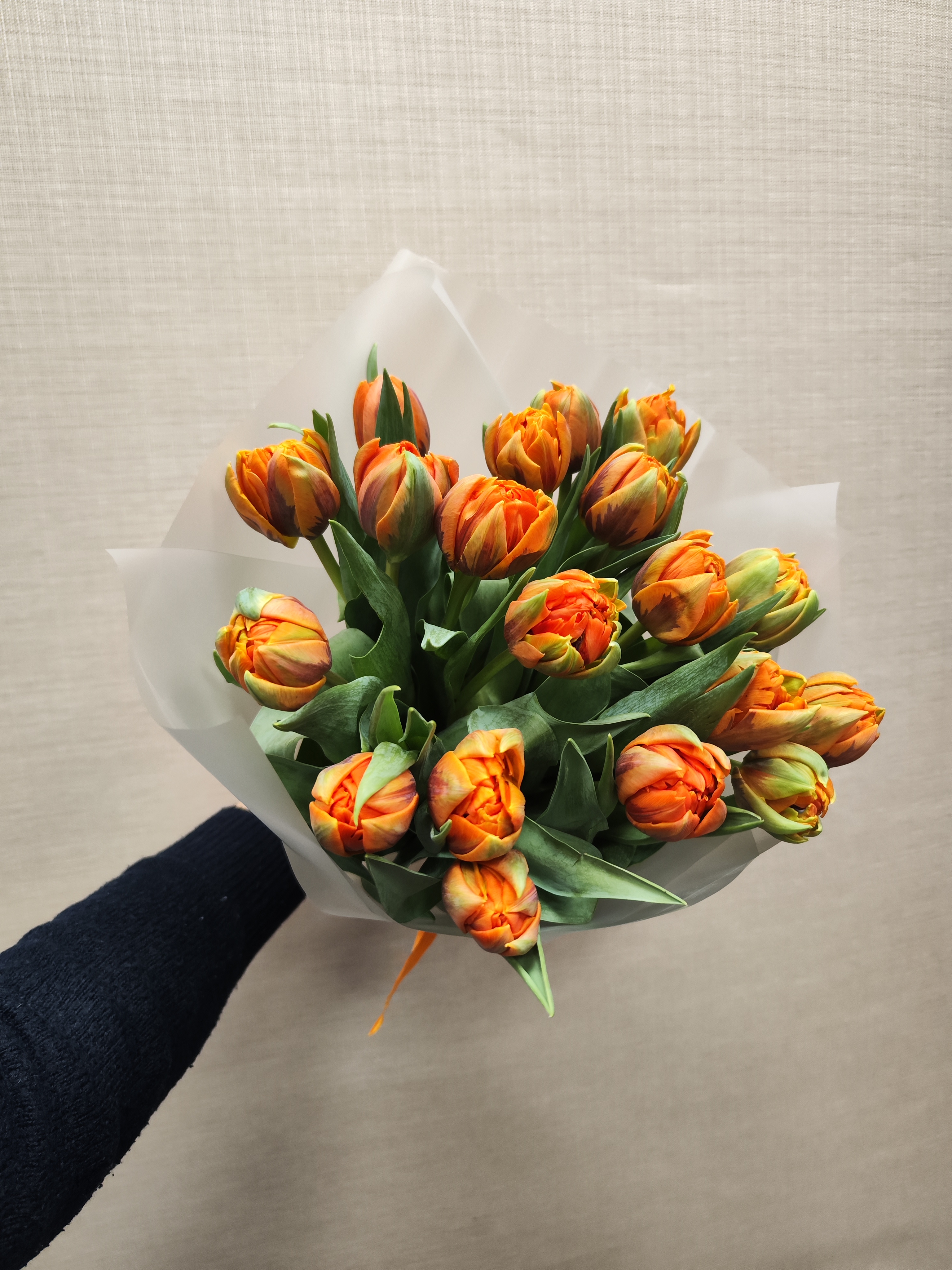 19 пионовидных тюльпанов в матовой пленке 