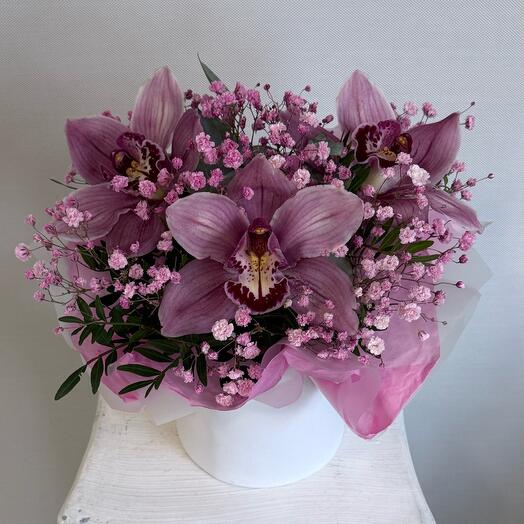 Композиция в коробке орхидея цимбидиум и гипсофила