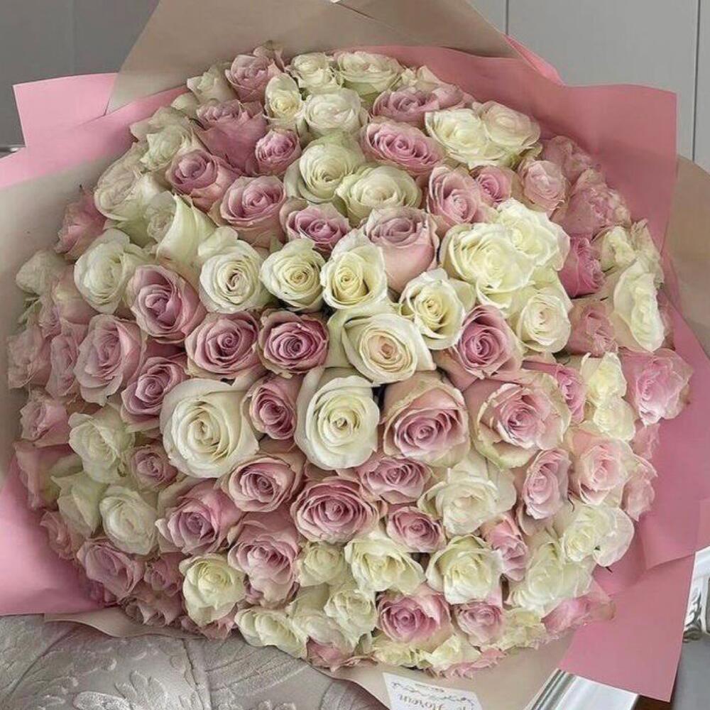 Букет из бело-розовых роз 101 шт