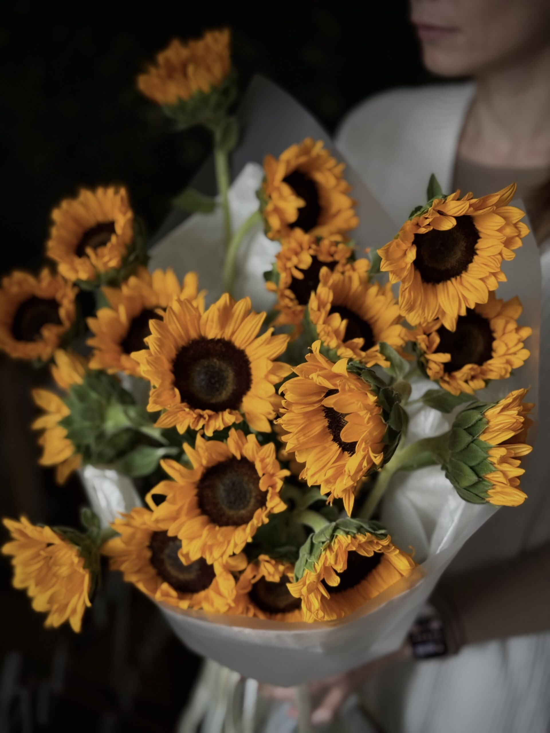 Лучи солнца