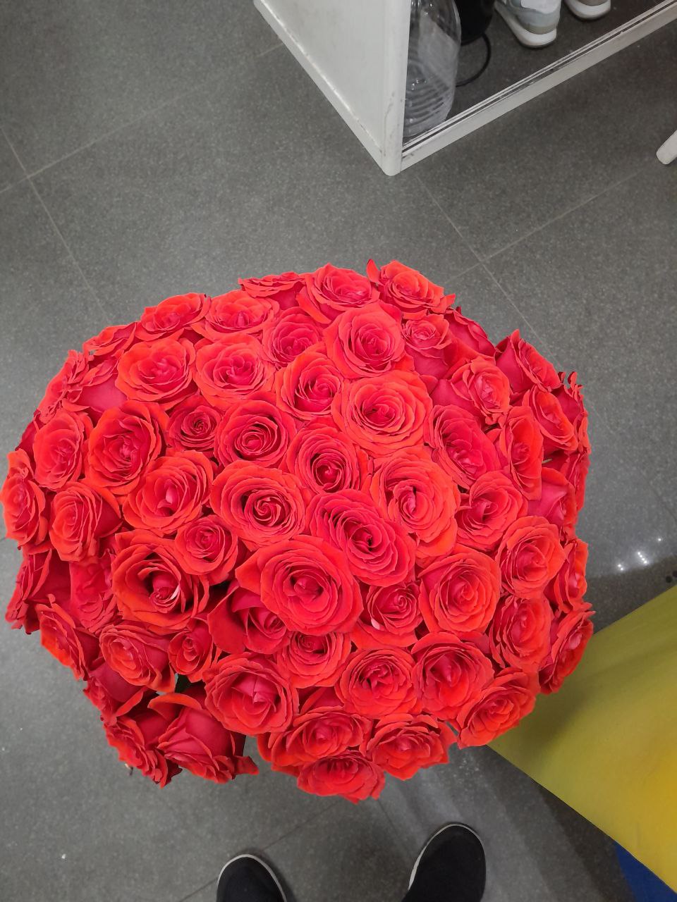 63 эквадорские розы (коралловые)