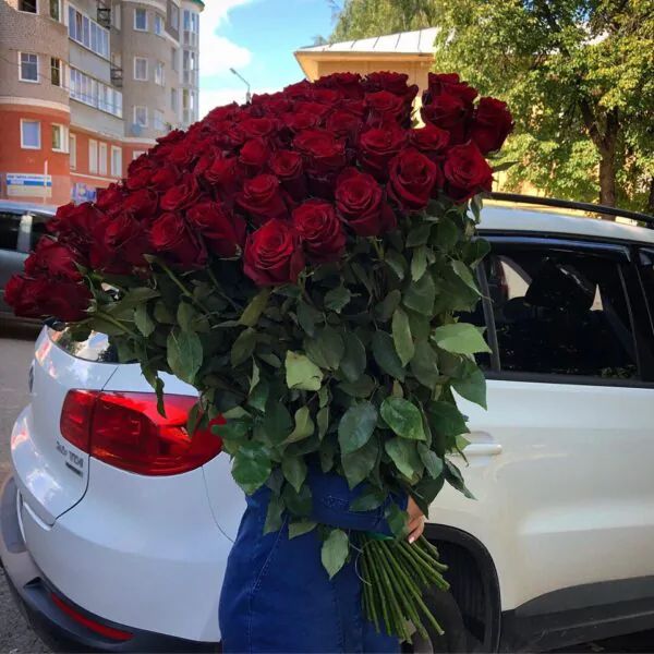 Букет из 51 розы 100 см Эквадор. Премиум сорт