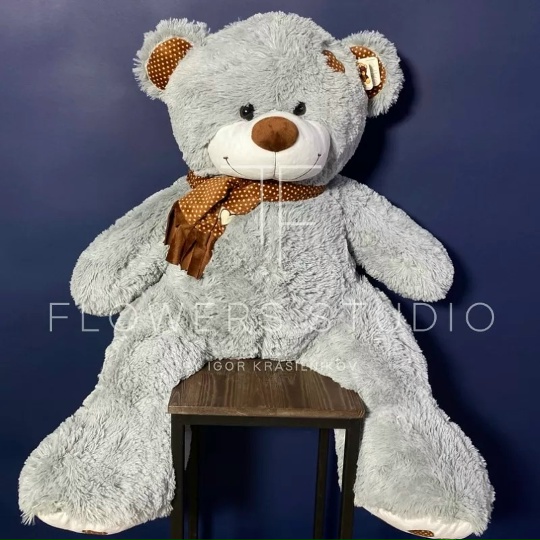 Медведь Тони