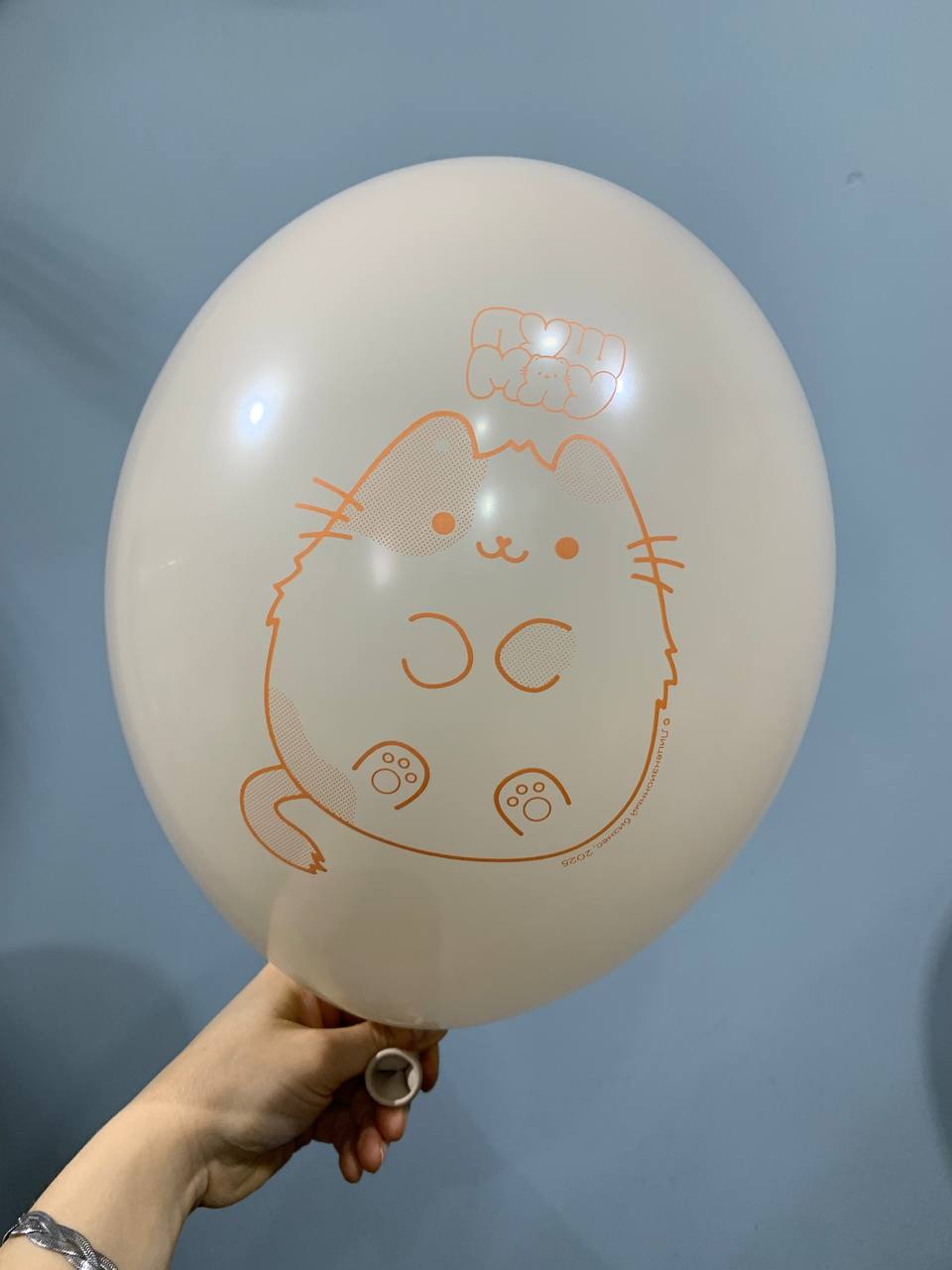Шар "Котик"