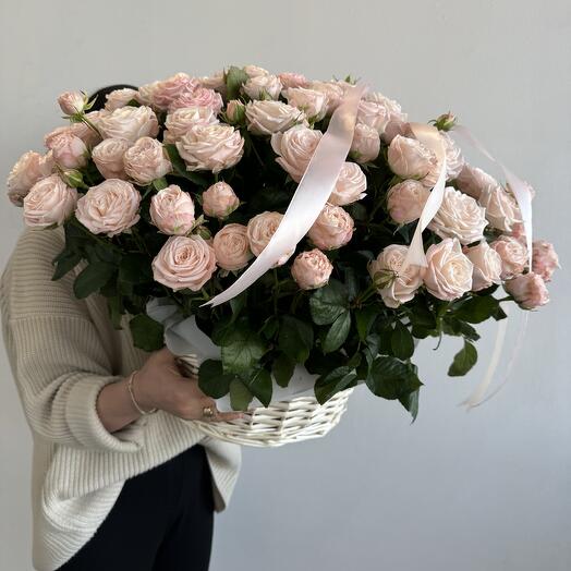 Корзина с кустовыми пион розами Бомбастик