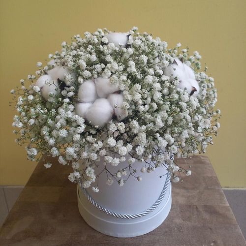 Белая гипсофила и облачный хлопок