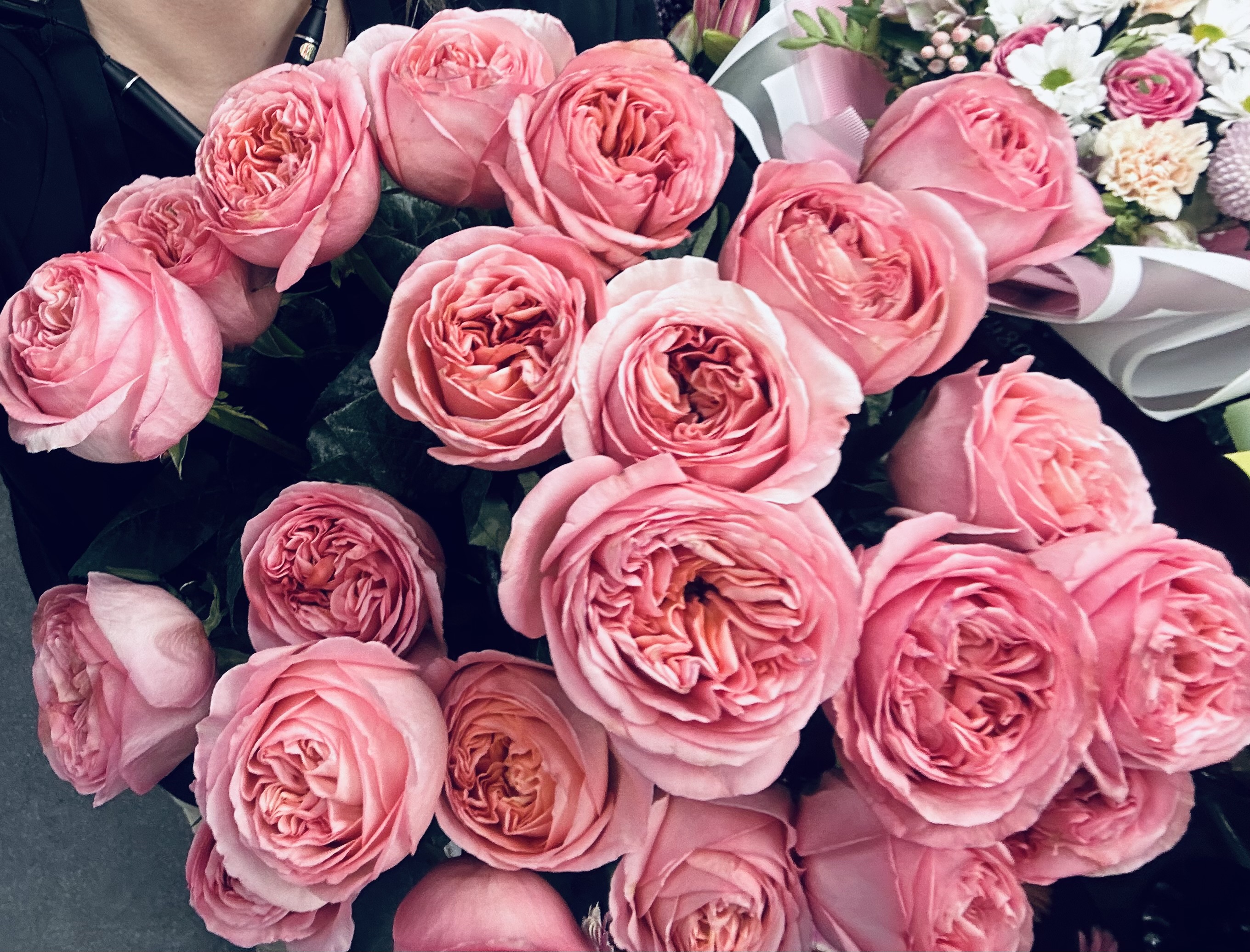 7 эквадорских Пионовидных роз (розовые)