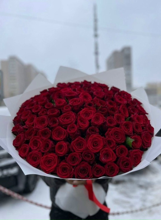 101 Роза (Эквадор 70см)