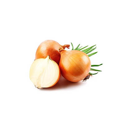 Лук репчатый