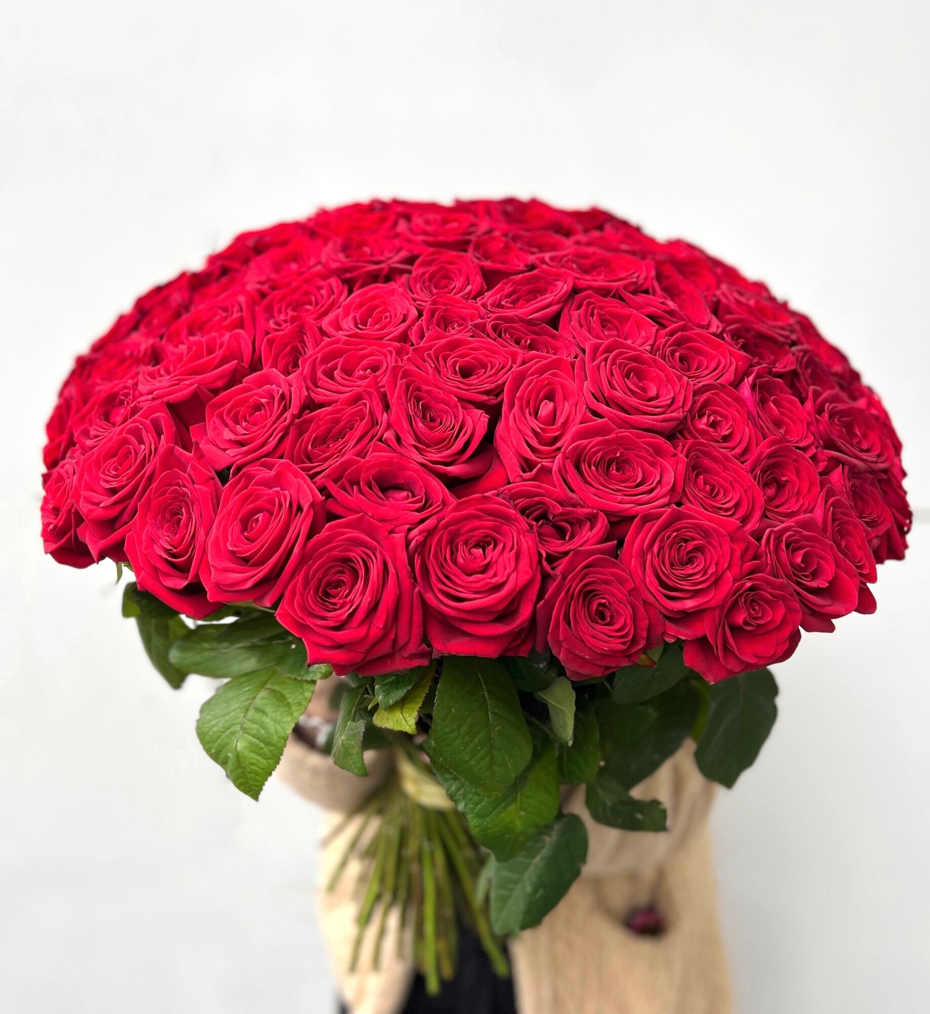 Букет из 101 красной розы 50 см