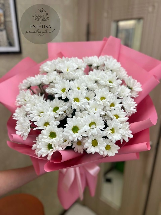 Ромашковидная хризантема