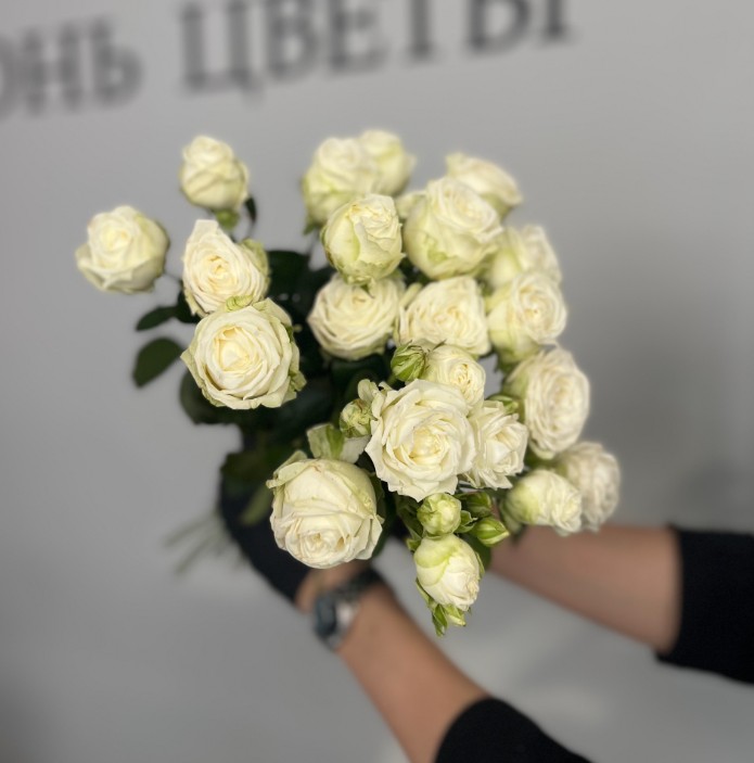 Пионовидные белые розы