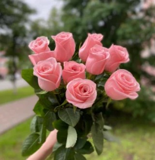 Букет из 9 розовых роз на ленте