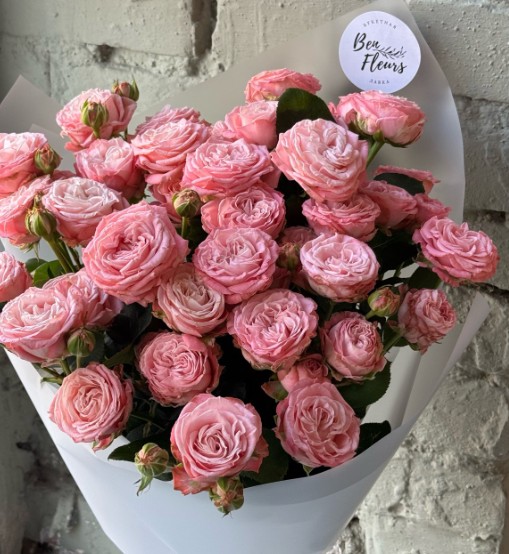 Кустовые розы моно