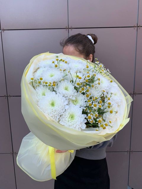 Хризантемы и ромашки