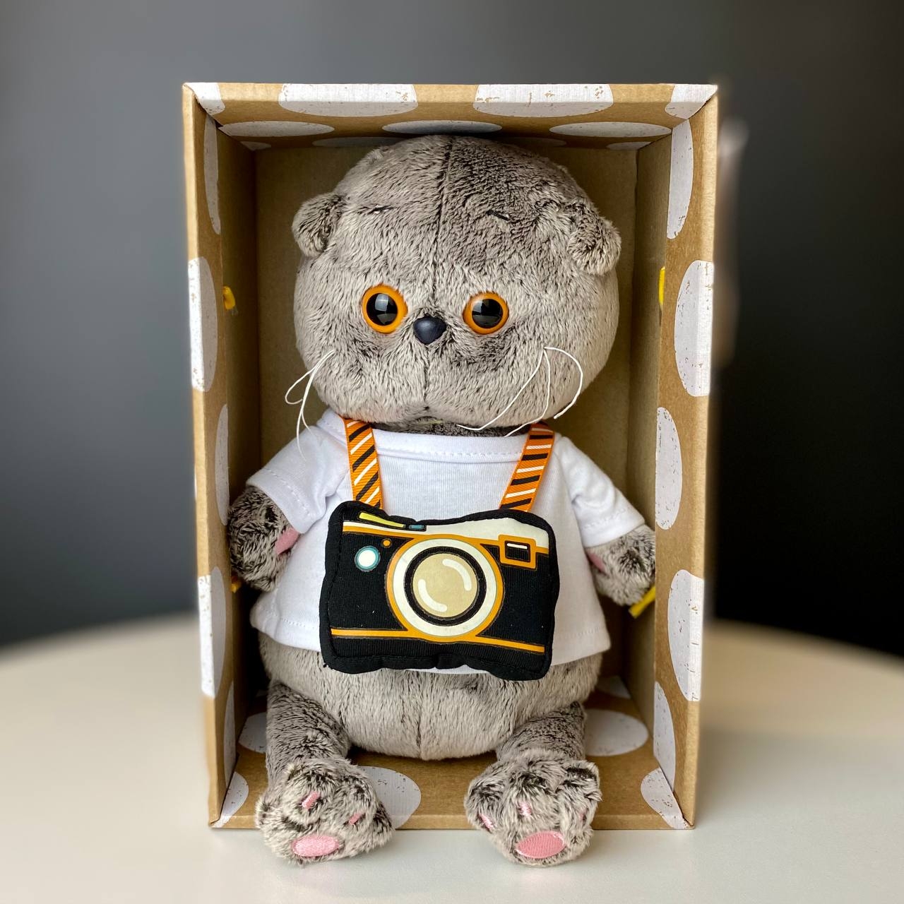 Кот Басик