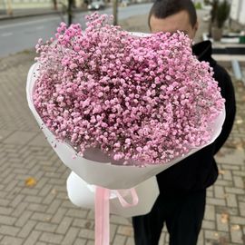 Розовая гипсофила 15 шт