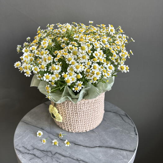 Корзина с ромашками