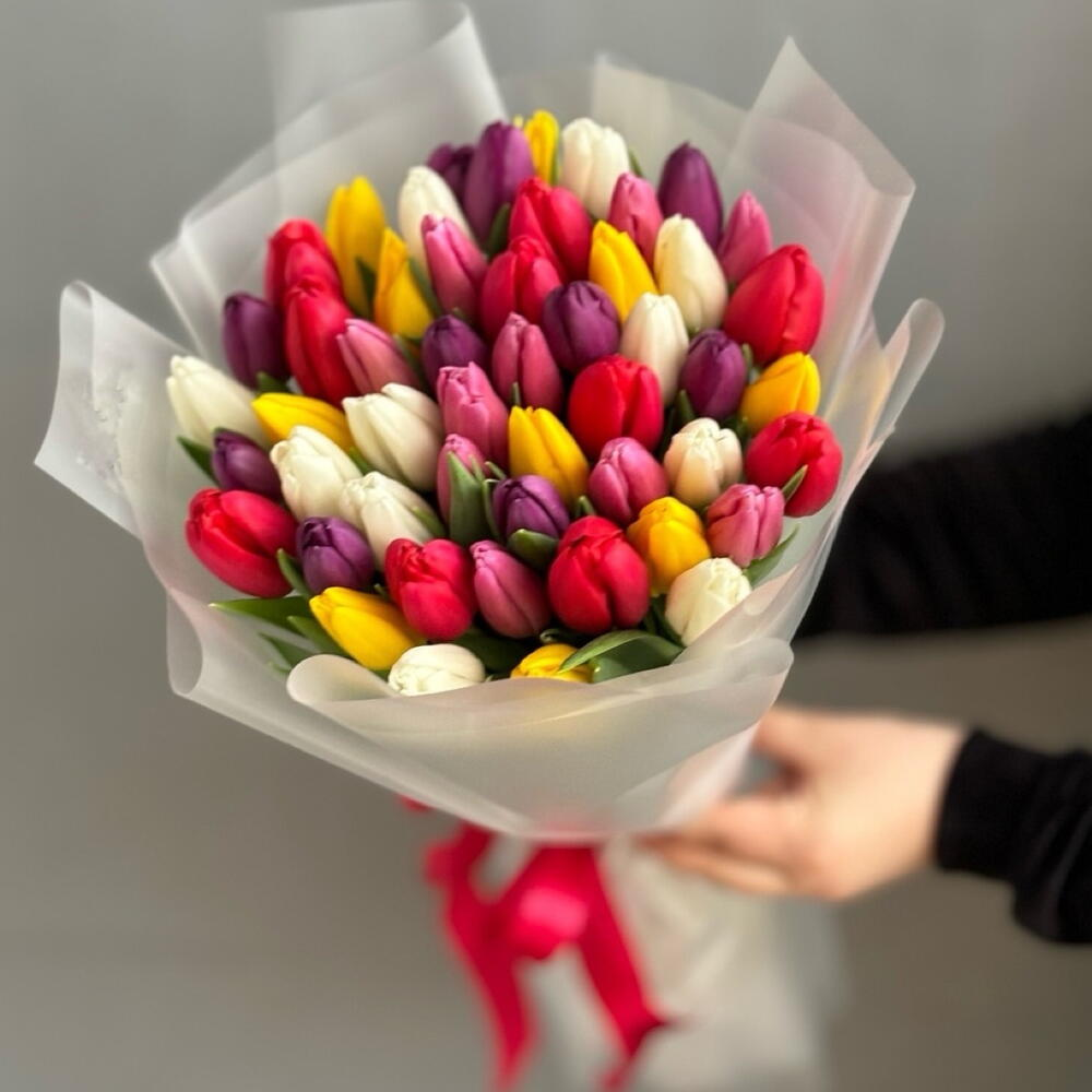 51 тюльпан цветной