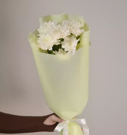 Хризантема кустовая