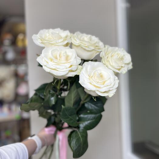 5 белых роз под лентой