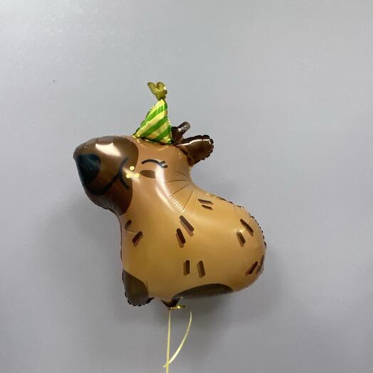 Шар капибара