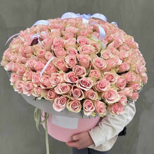 101 Роза Голландия крупный бутон в коробе