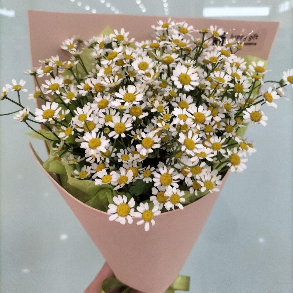 Букет для бабушки "Ромашки" танацетум