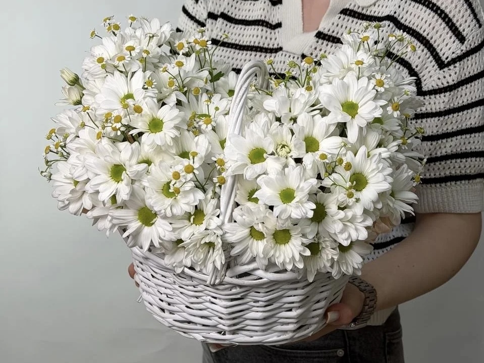 Корзина с кустовыми хризантемами и матрикарием