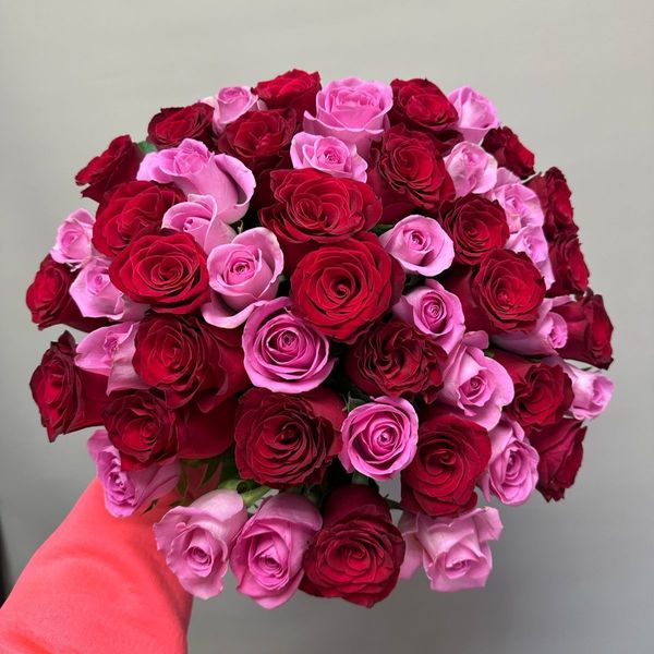 51 розовая и красная роза