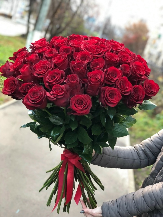 Букет из 51 красной розы премиум класса