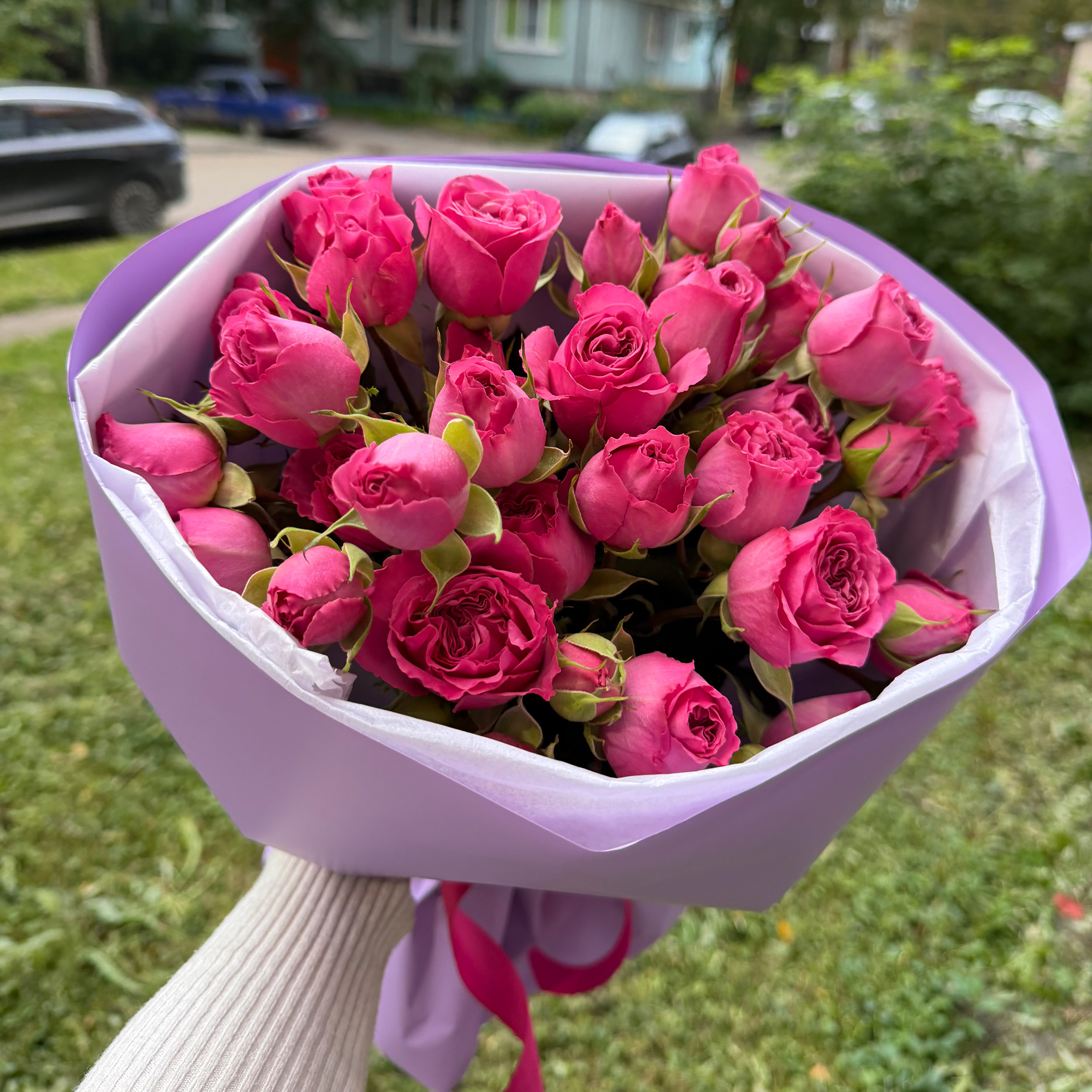 Букет из 7 кустовых эквадорских розовых роз в матовой пленке.
