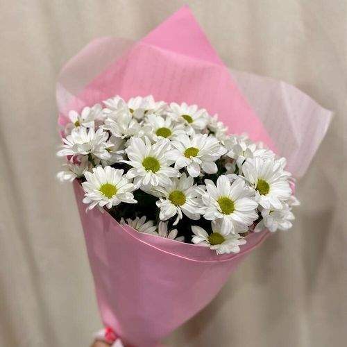 Букет из 5 белых ромашек в розовой упаковке (б1794)
