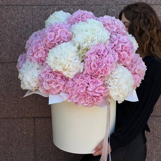 Цветы в коробке огромное облако из гортензии премиум 