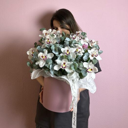 Большая wow-коробка с орхидеями