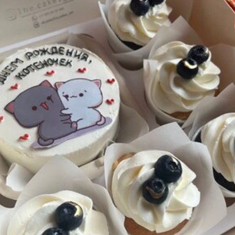Набор бенто-торт и 5 капкейков Котики