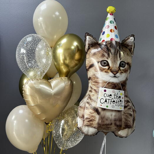 Шары с котиком