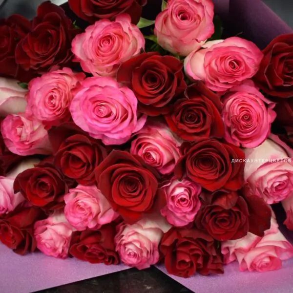 Букет из 31 малиновых и бордовых роз в фирменной упаковке