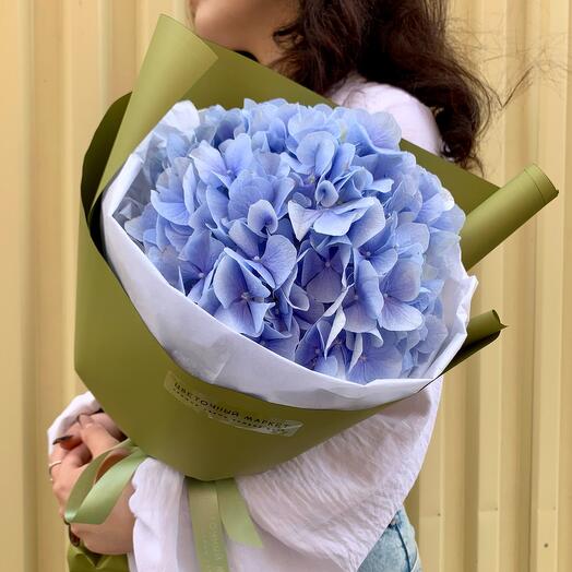 WOW🌿МОНО ГОРТЕНЗИЯ НА 1 СЕНТЯБРЯ