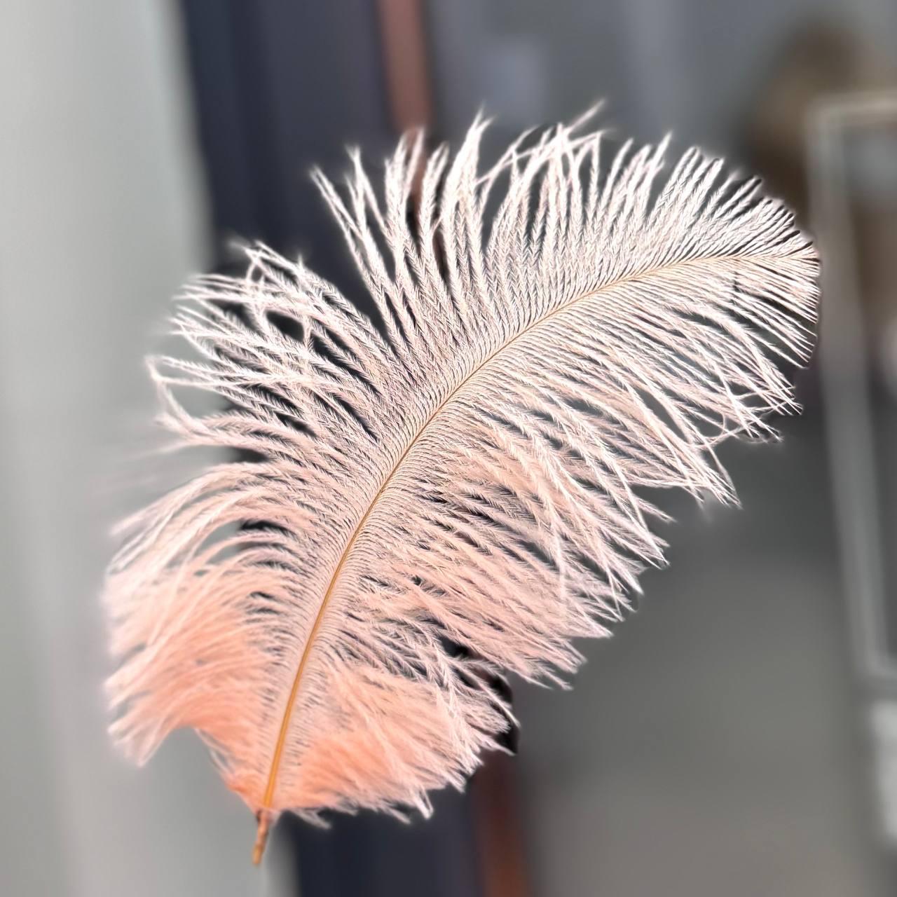 Перо к букету