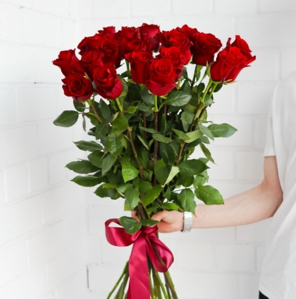 Розы сорта Эксплорер очень стойкие и невероятно красивые