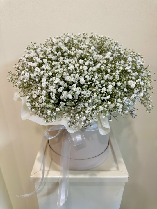 Коробка с гипсофилой