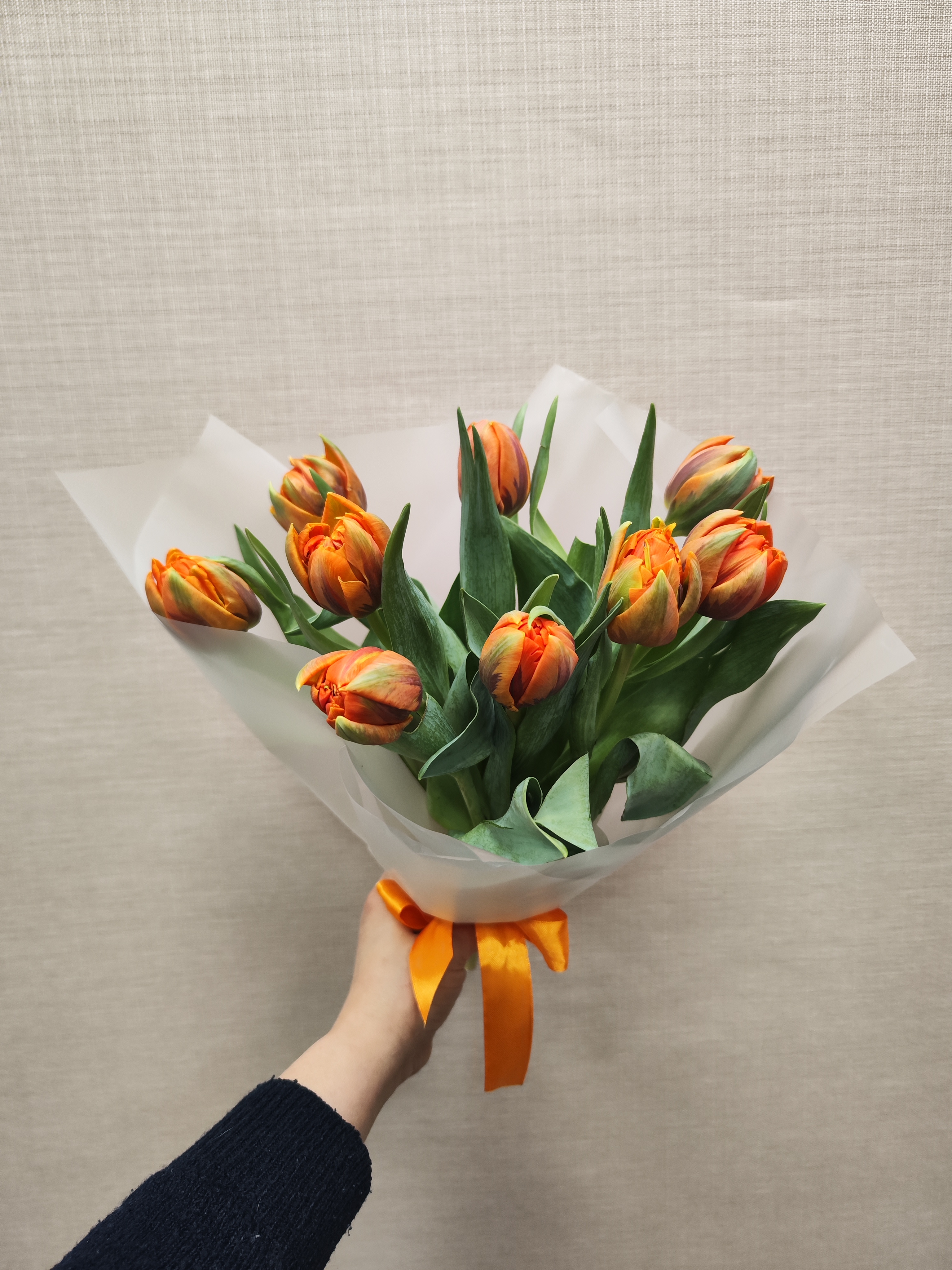 9 пионовидных тюльпанов в матовой пленке 