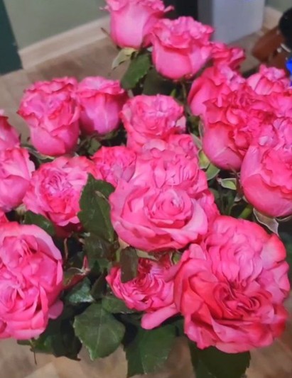 Роза пионовидная (Кантри блю) 1шт