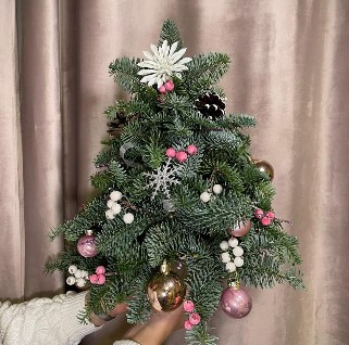 Живая елка из нобилиса