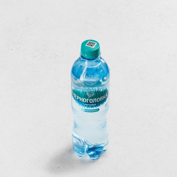 Вода Черноголовка 0,5 л газированная
