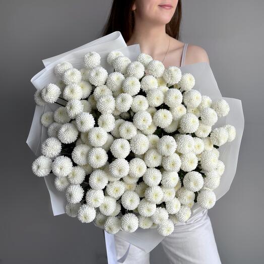 Большой нежный букет белая хризантема Ньютон